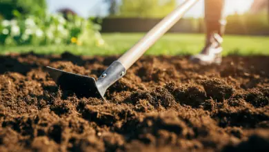 Como preparar a terra para plantar