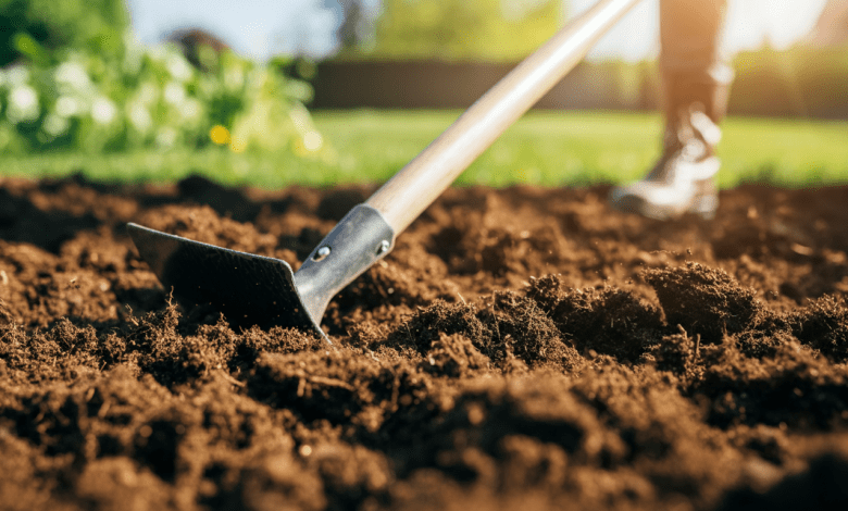 Como preparar a terra para plantar