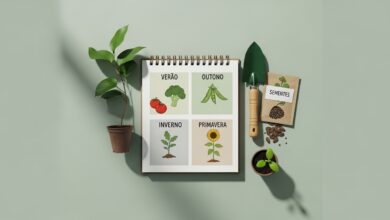 Calendário de plantio: o que plantar em cada estação no Brasil