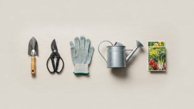 Ferramentas essenciais para jardinagem de iniciantes